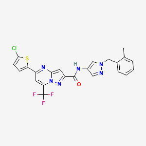 molecular formula C23H16ClF3N6OS B5710796 5-(5-chloro-2-thienyl)-N-[1-(2-methylbenzyl)-1H-pyrazol-4-yl]-7-(trifluoromethyl)pyrazolo[1,5-a]pyrimidine-2-carboxamide 