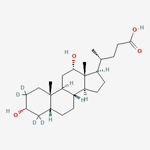 molecular formula C24H40O4 B571234 脱氧胆酸-2,2,4,4-D4 CAS No. 112076-61-6