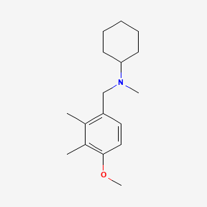 molecular formula C17H27NO B5713595 N-(4-methoxy-2,3-dimethylbenzyl)-N-methylcyclohexanamine 