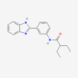 molecular formula C19H21N3O B5713670 N-[3-(1H-benzimidazol-2-yl)phenyl]-2-ethylbutanamide 