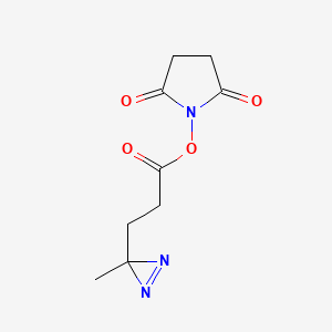 molecular formula C9H11N3O4 B571370 2,5-二氧代吡咯烷-1-基 3-(3-甲基-3H-二氮杂环-3-基)丙酸酯 CAS No. 1239017-80-1