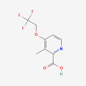 molecular formula C9H8F3NO3 B571393 3-Methyl-4-(2,2,2-trifluoroethoxy)-2-pyridinecarboxylic acid CAS No. 463299-54-9