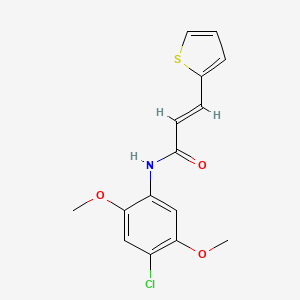 molecular formula C15H14ClNO3S B5713954 N-(4-chloro-2,5-dimethoxyphenyl)-3-(2-thienyl)acrylamide 