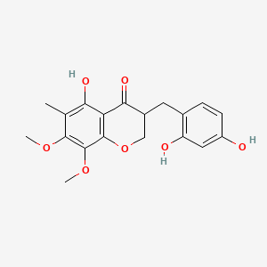 molecular formula C19H20O7 B571404 3-(2,4-Dihydroxybenzyl)-5-hydroxy-7,8-dimethoxy-6-methylchroman-4-one CAS No. 149180-48-3