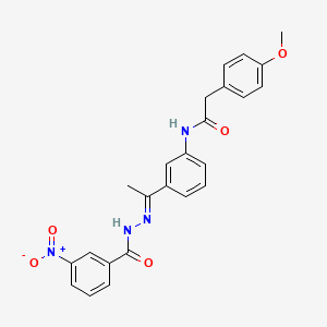 molecular formula C24H22N4O5 B5714646 2-(4-methoxyphenyl)-N-{3-[N-(3-nitrobenzoyl)ethanehydrazonoyl]phenyl}acetamide 