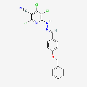 molecular formula C20H13Cl3N4O B5715053 6-{2-[4-(benzyloxy)benzylidene]hydrazino}-2,4,5-trichloronicotinonitrile 