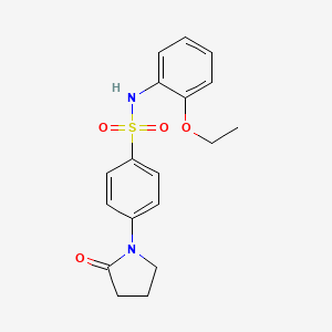 molecular formula C18H20N2O4S B5715338 N-(2-ethoxyphenyl)-4-(2-oxo-1-pyrrolidinyl)benzenesulfonamide 