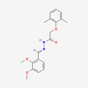 molecular formula C19H22N2O4 B5715765 N'-(2,3-dimethoxybenzylidene)-2-(2,6-dimethylphenoxy)acetohydrazide 