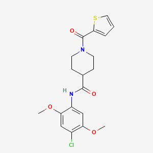 molecular formula C19H21ClN2O4S B5715785 N-(4-chloro-2,5-dimethoxyphenyl)-1-(2-thienylcarbonyl)-4-piperidinecarboxamide 