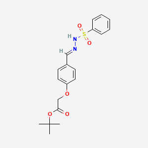 molecular formula C19H22N2O5S B5717775 tert-butyl {4-[2-(phenylsulfonyl)carbonohydrazonoyl]phenoxy}acetate 