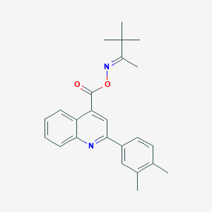 molecular formula C24H26N2O2 B5717789 3,3-dimethyl-2-butanone O-{[2-(3,4-dimethylphenyl)-4-quinolinyl]carbonyl}oxime 