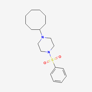 molecular formula C18H28N2O2S B5718414 1-cyclooctyl-4-(phenylsulfonyl)piperazine 