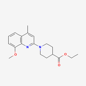 molecular formula C19H24N2O3 B5718501 ethyl 1-(8-methoxy-4-methyl-2-quinolinyl)-4-piperidinecarboxylate 