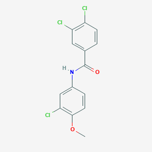 3,4-dichloro-N-(3-chloro-4-methoxyphenyl)benzamide