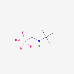 molecular formula C5H12BF3KN B572024 Potassium (t-butylaminomethyl)trifluoroborate CAS No. 1256366-05-8