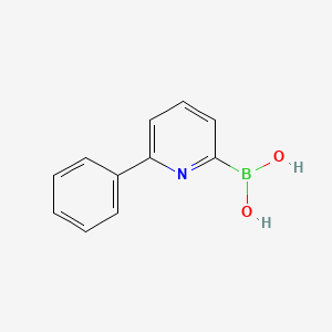 molecular formula C11H10BNO2 B572030 (6-苯基吡啶-2-基)硼酸 CAS No. 1218790-96-5