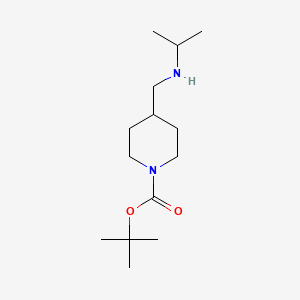molecular formula C14H28N2O2 B572046 tert-Butyl 4-((isopropylamino)methyl)piperidine-1-carboxylate CAS No. 1289387-91-2
