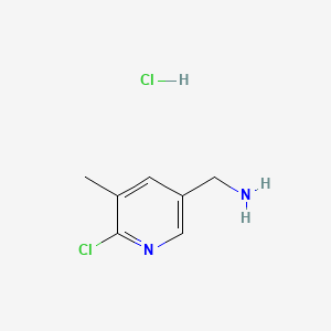 molecular formula C7H10Cl2N2 B572059 (6-Chloro-5-methylpyridin-3-yl)methanamine hydrochloride CAS No. 1257535-53-7