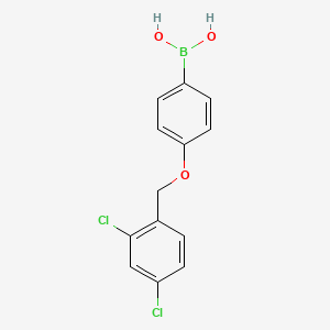 molecular formula C13H11BCl2O3 B572102 4-(2,4-二氯苯甲氧基)苯硼酸 CAS No. 1256355-75-5