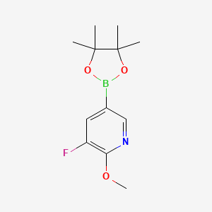 B572109 3-Fluoro-2-methoxy-5-(4,4,5,5-tetramethyl-1,3,2-dioxaborolan-2-yl)pyridine CAS No. 1310384-35-0