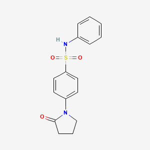 molecular formula C16H16N2O3S B5721937 4-(2-oxo-1-pyrrolidinyl)-N-phenylbenzenesulfonamide 