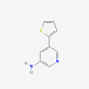 molecular formula C9H8N2S B572245 5-(噻吩-2-基)吡啶-3-胺 CAS No. 1226415-45-7