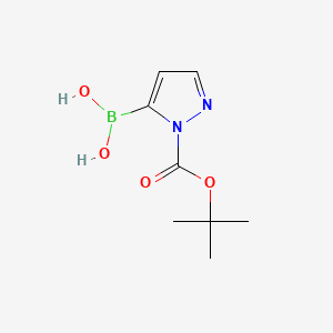 molecular formula C8H13BN2O4 B572308 (1-(tert-Butoxycarbonyl)-1H-pyrazol-5-yl)boronic acid CAS No. 1217500-54-3