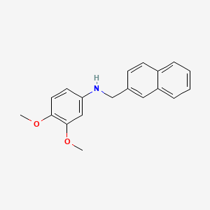 molecular formula C19H19NO2 B5723721 (3,4-dimethoxyphenyl)(2-naphthylmethyl)amine 