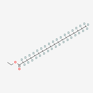 molecular formula C20H40O2 B572381 Ethyl octadecanoate-d35 CAS No. 1219795-49-9