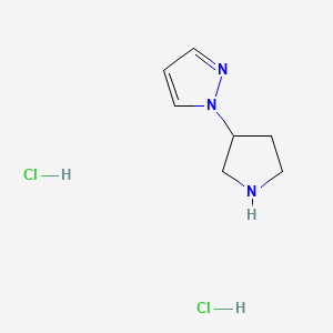 molecular formula C7H13Cl2N3 B572382 1-吡咯烷-3-基-1H-吡唑二盐酸盐 CAS No. 1242339-08-7