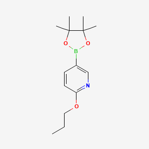 molecular formula C14H22BNO3 B572383 2-丙氧基-5-(4,4,5,5-四甲基-1,3,2-二氧杂硼环己烷-2-基)吡啶 CAS No. 1257553-85-7
