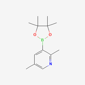 molecular formula C13H20BNO2 B572393 2,5-Dimethyl-3-(4,4,5,5-tetramethyl-1,3,2-dioxaborolan-2-yl)pyridine CAS No. 1309980-12-8