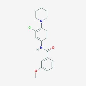 molecular formula C19H21ClN2O2 B5724057 N-[3-chloro-4-(1-piperidinyl)phenyl]-3-methoxybenzamide 