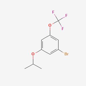 molecular formula C10H10BrF3O2 B572406 1-Bromo-3-isopropoxy-5-(trifluoromethoxy)benzene CAS No. 1221793-61-8