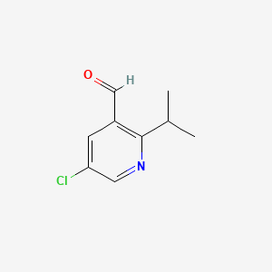 molecular formula C9H10ClNO B572420 5-Chloro-2-isopropylnicotinaldehyde CAS No. 1211515-26-2