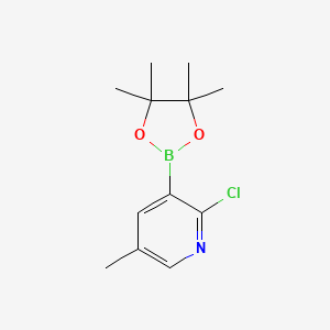 molecular formula C12H17BClNO2 B572448 2-Chloro-5-methyl-3-(4,4,5,5-tetramethyl-1,3,2-dioxaborolan-2-yl)pyridine CAS No. 1309982-62-4