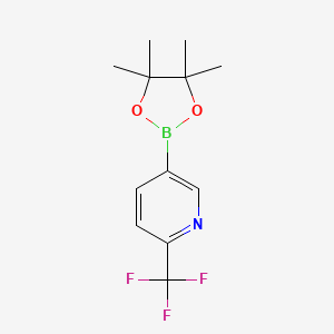 molecular formula C12H15BF3NO2 B572456 5-(4,4,5,5-Tetramethyl-1,3,2-dioxaborolan-2-yl)-2-(trifluoromethyl)pyridine CAS No. 1218790-39-6