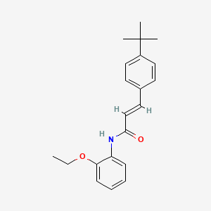 molecular formula C21H25NO2 B5724809 3-(4-tert-butylphenyl)-N-(2-ethoxyphenyl)acrylamide 
