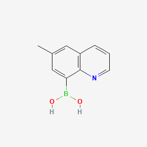 molecular formula C10H10BNO2 B572482 6-Methylquinoline-8-boronic acid CAS No. 1256355-09-5