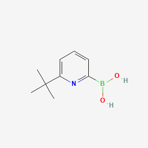 molecular formula C9H14BNO2 B572508 (6-(tert-Butyl)pyridin-2-yl)boronic acid CAS No. 1265478-40-7