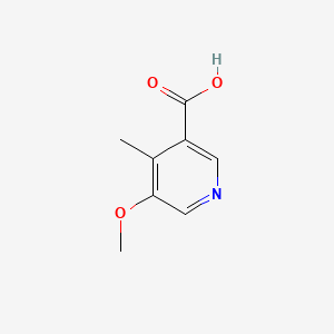 molecular formula C8H9NO3 B572511 5-メトキシ-4-メチルニコチン酸 CAS No. 1211535-00-0