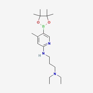 molecular formula C19H34BN3O2 B572542 N',N'-Diethyl-N-[4-methyl-5-(4,4,5,5-tetramethyl-1,3,2-dioxaborolan-2-yl)pyridin-2-yl]propane-1,3-diamine CAS No. 1353718-71-4