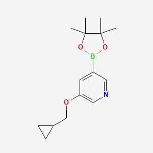 molecular formula C15H22BNO3 B572544 3-(Cyclopropylmethoxy)-5-(4,4,5,5-tetramethyl-1,3,2-dioxaborolan-2-yl)pyridine CAS No. 1257553-87-9