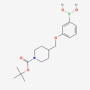 molecular formula C17H26BNO5 B572548 (3-((1-(tert-Butoxycarbonyl)piperidin-4-yl)methoxy)phenyl)boronic acid CAS No. 1310404-86-4