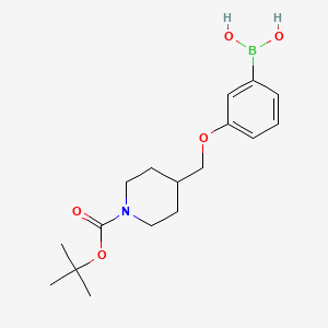 molecular formula C17H26BNO5 B572548 (3-((1-(叔丁氧羰基)哌啶-4-基)甲氧基)苯基)硼酸 CAS No. 1310404-86-4