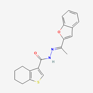 molecular formula C19H18N2O2S B5725751 N'-[1-(1-benzofuran-2-yl)ethylidene]-4,5,6,7-tetrahydro-1-benzothiophene-3-carbohydrazide 