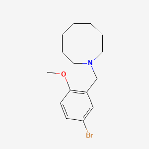 molecular formula C15H22BrNO B5725946 1-(5-bromo-2-methoxybenzyl)azocane 