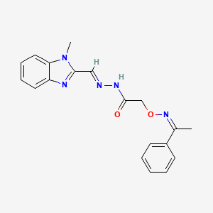 molecular formula C19H19N5O2 B5727097 N'-[(1-methyl-1H-benzimidazol-2-yl)methylene]-2-{[(1-phenylethylidene)amino]oxy}acetohydrazide 