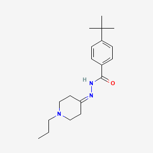 molecular formula C19H29N3O B5727337 4-tert-butyl-N'-(1-propyl-4-piperidinylidene)benzohydrazide 