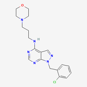 molecular formula C19H23ClN6O B5727664 1-(2-chlorobenzyl)-N-[3-(4-morpholinyl)propyl]-1H-pyrazolo[3,4-d]pyrimidin-4-amine 